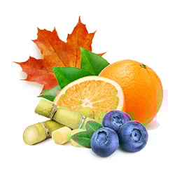 Multi Fruit Acids (Sugar Cane Extract (Saccharum Officinarum), Sugar Maple Extract (Acer Saccharum), Bilberry Fruit Extract (Vaccinium Myrtillus), Orange Fruit Extract (Citrus Aurantium Dulcis) & Lemon Fruit Extract (Citrus Medica Limonum))